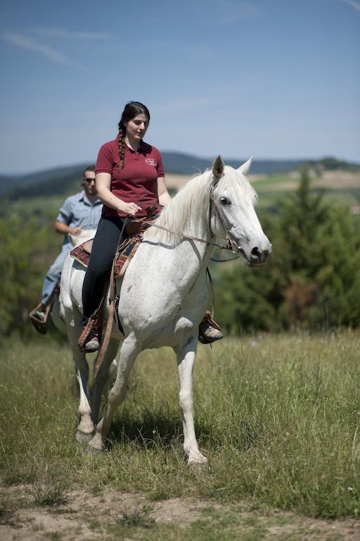 Agriturismo La Pieve Pelago Dış mekan fotoğraf