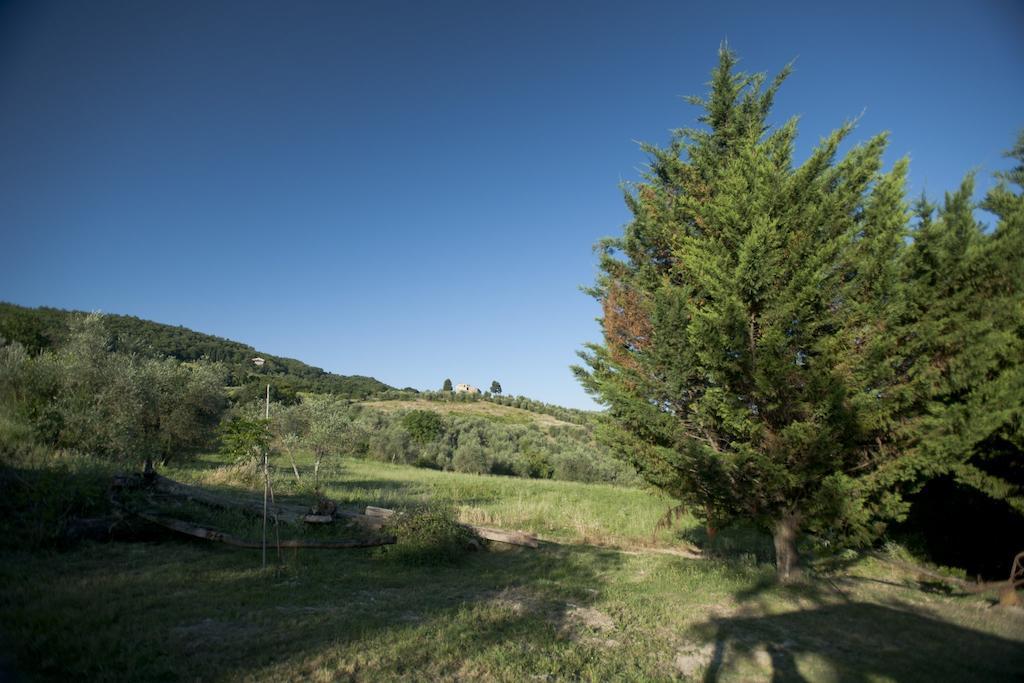 Agriturismo La Pieve Pelago Dış mekan fotoğraf